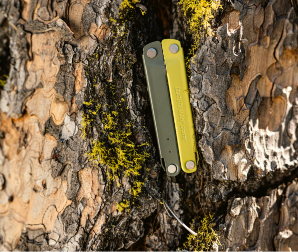 Rebar® Stainless with Nylon Sheath
